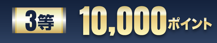 3等 10,000ポイント