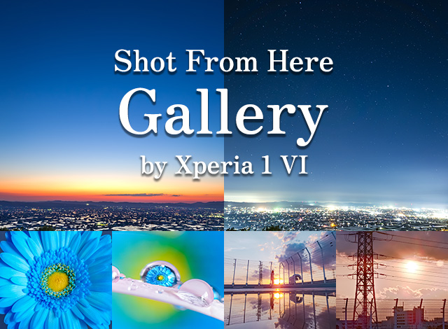 Shot From Here Gallery by Xperia 1 VI